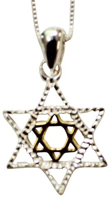 Two Tone Gold and Silver Star of David, Sterling Silver Chain