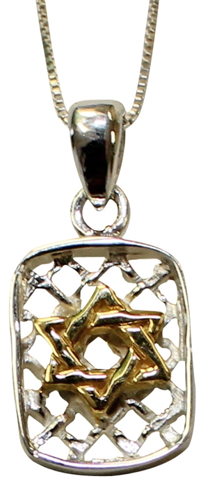 Two Tone Lattice Star of David with Sterling Silver Chain